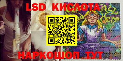 сатива Будённовск