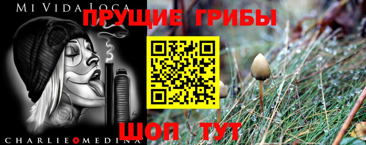 Галлюциногенные грибы MAGIC MUSHROOMS  Вход с VPN  Прокопьевск  наркота  Псилоцибиновые грибы MAGIC MUSHROOMS 