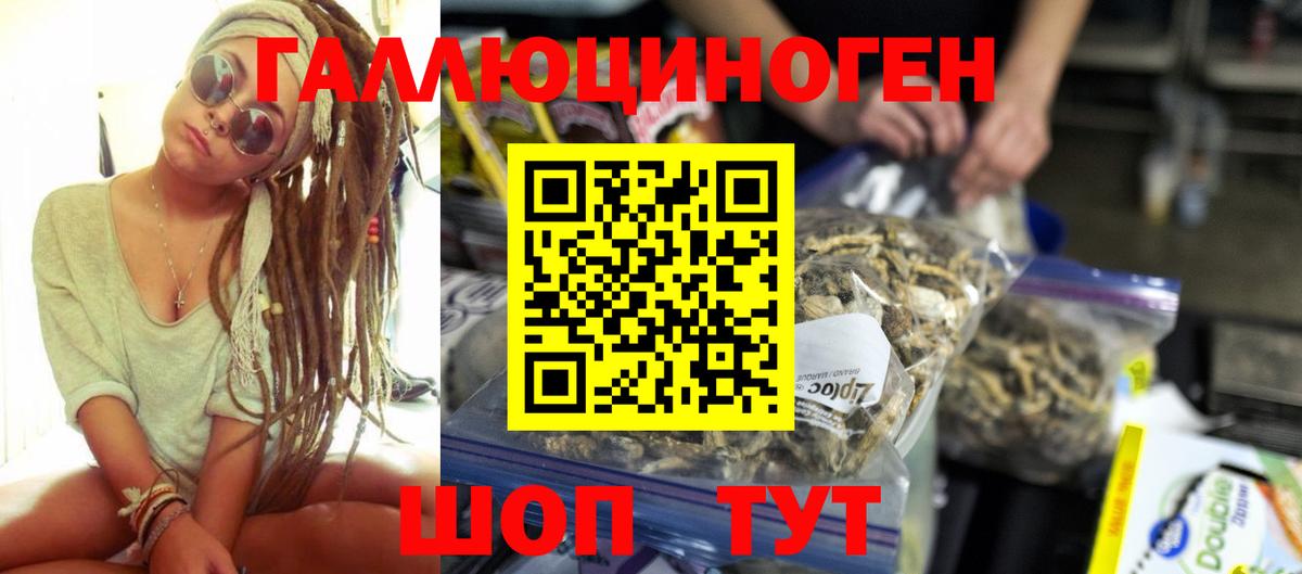 Псилоцибиновые грибы GOLDEN TEACHER Прокопьевск